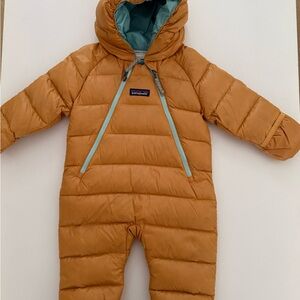 Patagonia Down Bunting